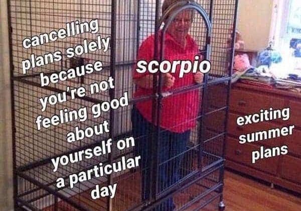 28 Scorpio Memes That Are Painfully Accurate – Our Mindful Life