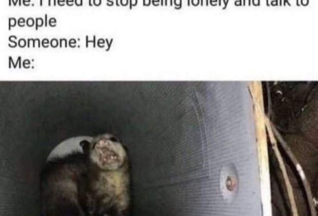Pinterest photo