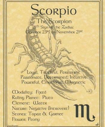 Scorpio – The Scorpion – loyal, truthful, persistent, passionate, determined, intuitive, powerful, emotional, magnetic.…