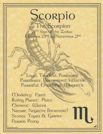 Scorpio – The Scorpion – loyal, truthful, persistent, passionate, determined, intuitive, powerful, emotional, magnetic.…