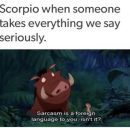 30 Best Scorpio Memes – Astrology Special |