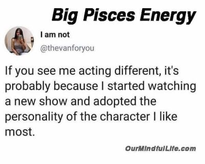 26 Funny Pisces Memes Too Real That It Hurts – Our Mindful Life