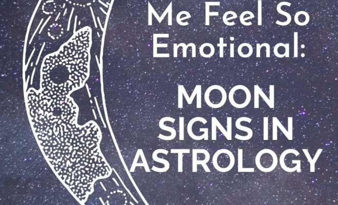 Moon Signs in Astrology