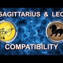 Sagittarius & Leo Compatibility | aries, taurus, gemini, aquarius, pisces, scorpio, zodiac signs