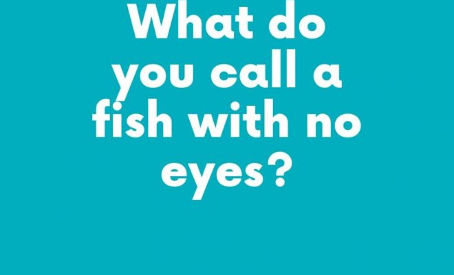 What do you call a fish with no eyes?