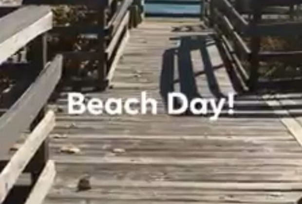 Beach Day