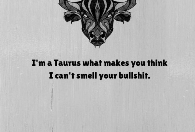 9 Things Only A Taurus Can Relate To – The Minds Journal