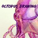 Octopus Drawing