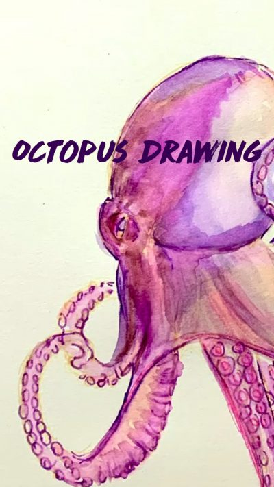 Octopus Drawing