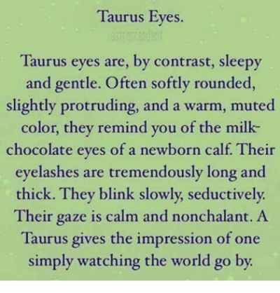 Chocolate, Taurus, and World: Taurus Eyes Taurus eyes are, by contrast, sleepy and gentle.…