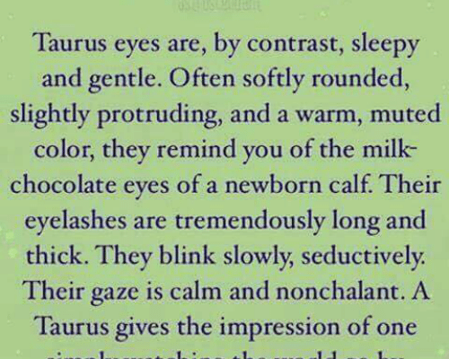 Chocolate, Taurus, and World: Taurus Eyes Taurus eyes are, by contrast, sleepy and gentle.…