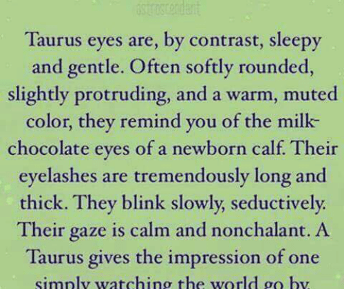 Chocolate, Taurus, and World: Taurus Eyes Taurus eyes are, by contrast, sleepy and gentle.…