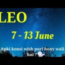 LEO WEEKLY TAROT READING | 7TH – 13TH JUNE | WEEKLY LEO HOROSCOPE/TAROT ASTROLOGY | In Hindi