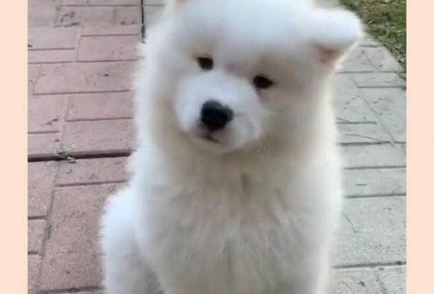 Pure beautiful!