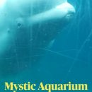 Mystic Aquarium Mystic, CT