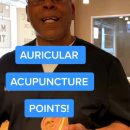 Auricular Acupuncture Points for Allergies