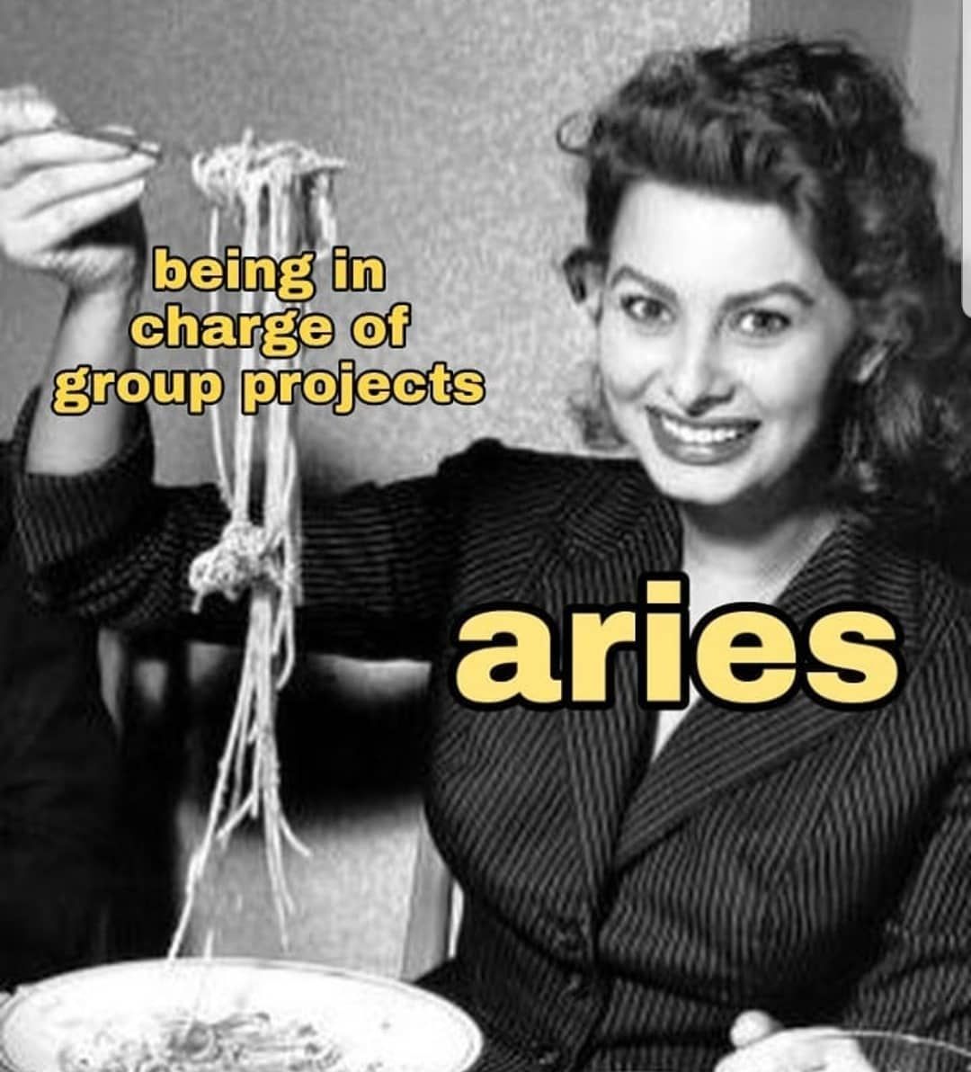 Aries Zodiac Sign Astrology Meme Joke