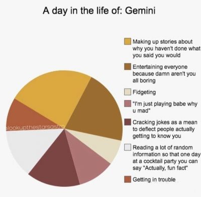 Gemini Zodiac Sign Astrology Meme Joke