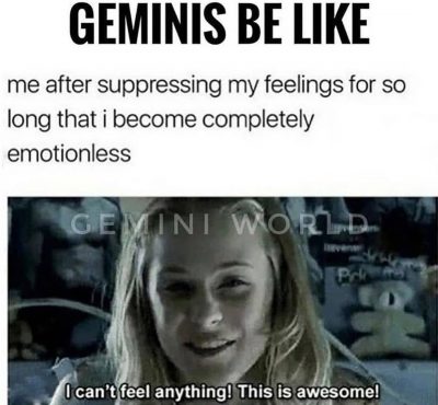 Gemini Zodiac Sign Astrology Meme Joke