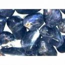 Sagittarius Birthstone Blue Sodalite –  1 Piece