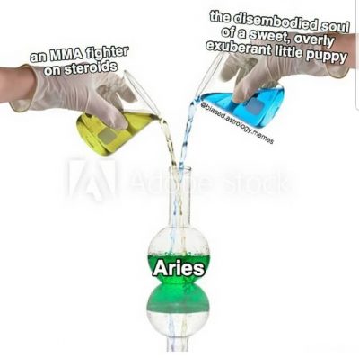 Aries Zodiac Sign Astrology Meme Joke