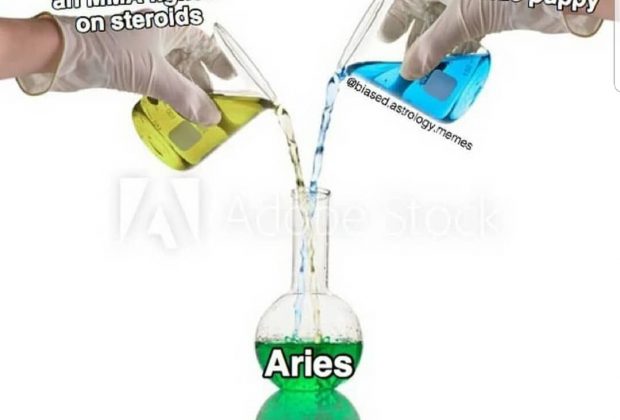 Aries Zodiac Sign Astrology Meme Joke
