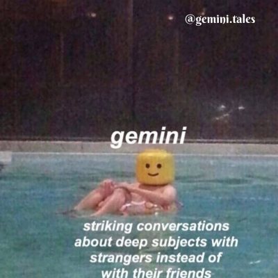 Gemini Zodiac Sign Astrology Meme Joke