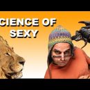 4 MOST SEXUAL ZODIAC SIGNS IN ASTROLOGY (But Why?)