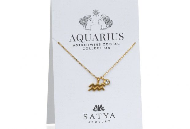 The AstroTwins Aquarius Zodiac Necklace