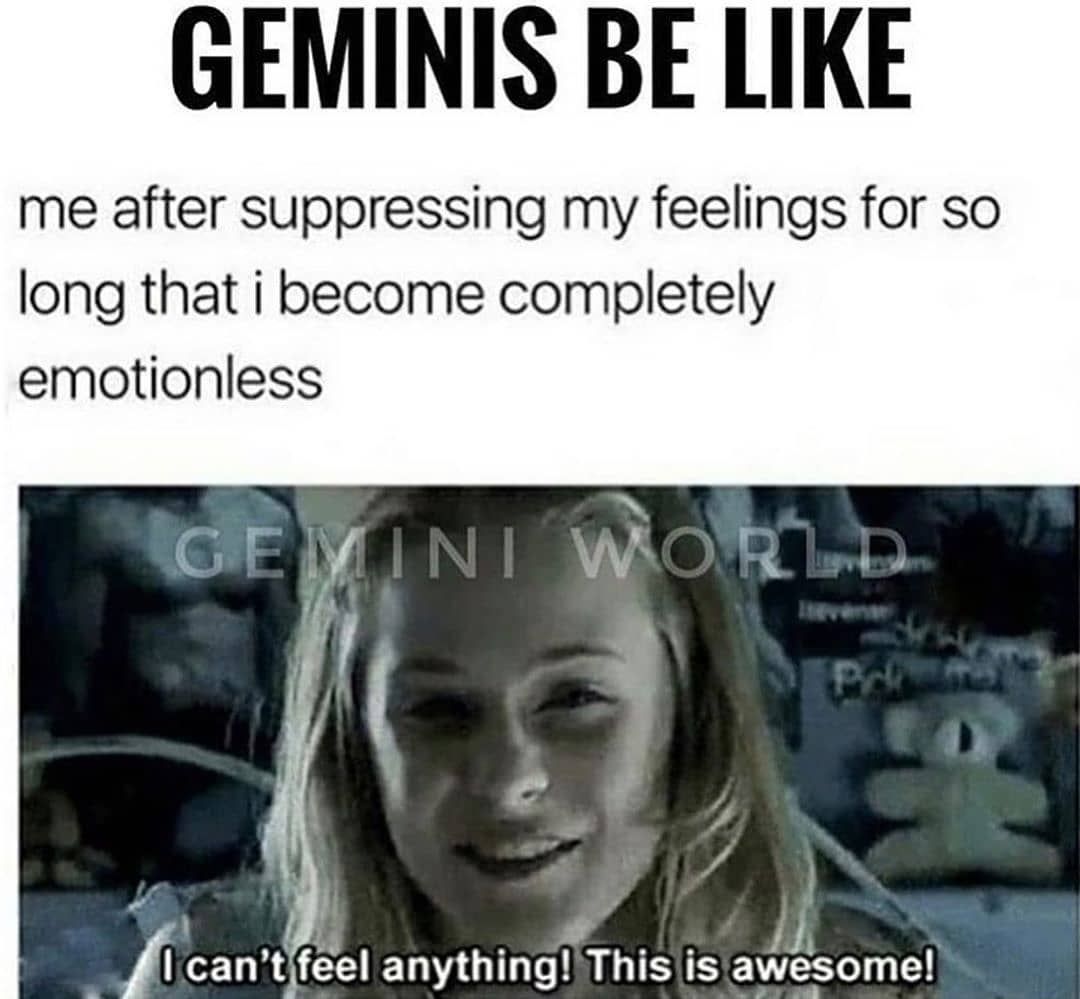 Gemini Zodiac Sign Astrology Meme Joke