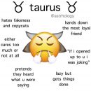 Taurus Zodiac Sign Astrology Meme Joke