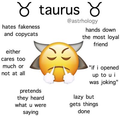 Taurus Zodiac Sign Astrology Meme Joke