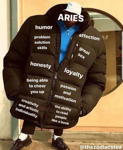 Aries Zodiac Sign Astrology Meme Joke