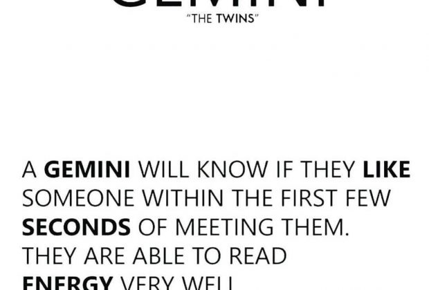 Gemini Zodiac Sign Astrology Meme Joke