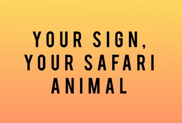 Zodiac safari animals
