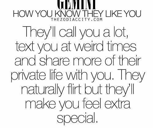 Gemini Zodiac Sign Astrology Meme Joke