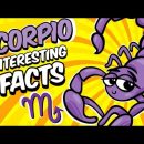 Interesting Facts About SCORPIO Zodiac Sign