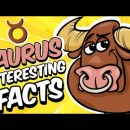 Interesting Facts About TAURUS Zodiac Sign