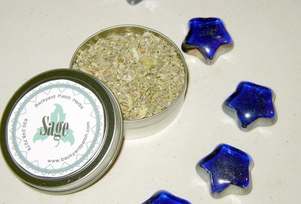 Individual Single Herbs to refill your spice / herb rack from Backyard Patch Herbs – Lemon Balm