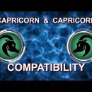 Capricorn & Capricorn Compatibility | taurus, gemini, aquarius, pisces, scorpio, virgo, zodiac sign
