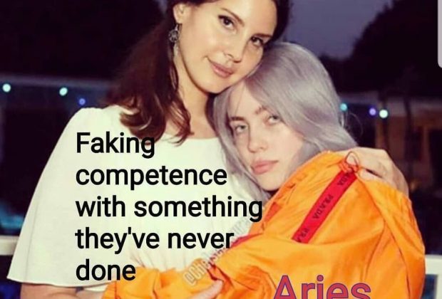 Aries Zodiac Sign Astrology Meme Joke