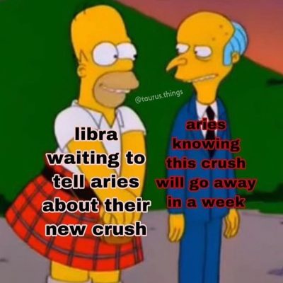 Aries Zodiac Sign Astrology Meme Joke