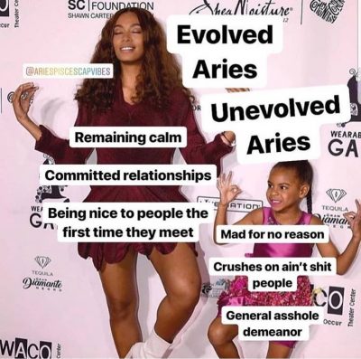 Aries Zodiac Sign Astrology Meme Joke