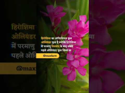Ammezing fact about flowers