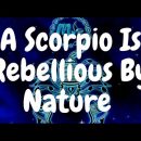 Psychological Facts About The Scorpio Zodiac Sign!