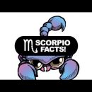 8 Scorpio Facts That Explain Them Perfectly – Scorpio Personality