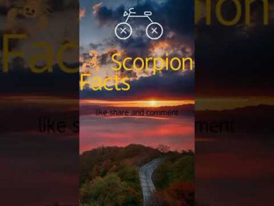 Scorpio zodiac signs fact #scorpionthings