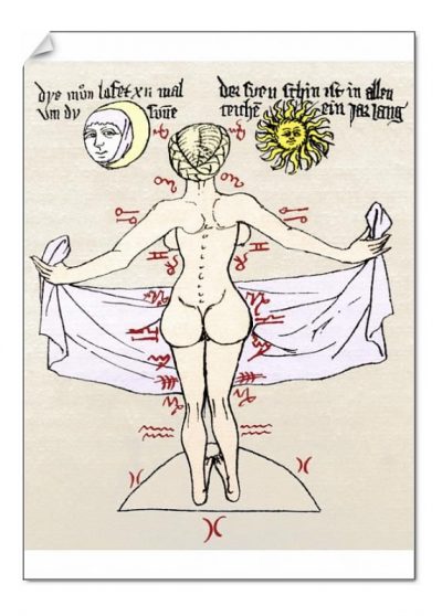 7 inch Photo. Medical zodiac, 15th century diagram