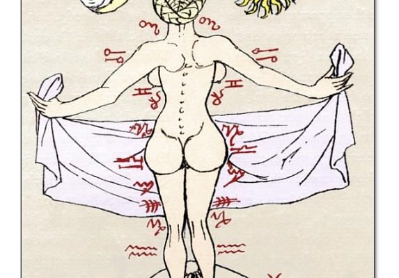 7 inch Photo. Medical zodiac, 15th century diagram