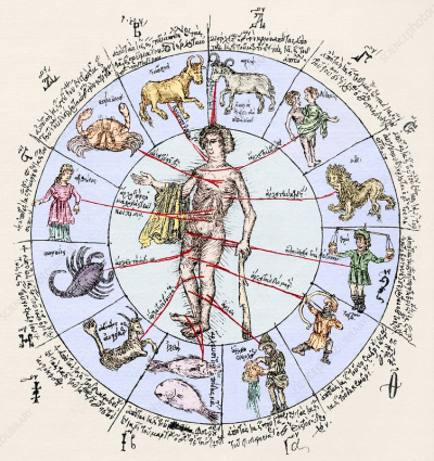 Medical zodiac, 15th century diagram